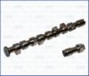 VW 032109101 Camshaft